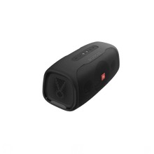 JBL BassPro Go - Sweetlake Customs