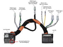 OPTION Molex T - kabelset quadlock - Sweetlake Customs